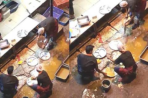 nhân viên nhà hàng rửa đĩa trong vũng nước
