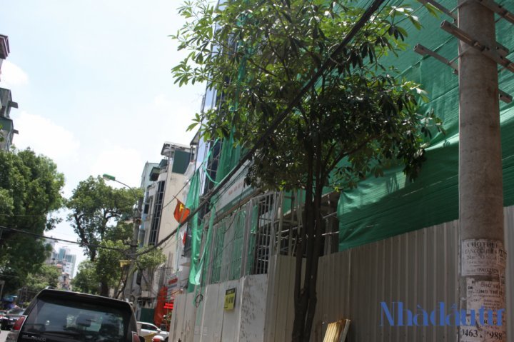 đất vàng,bún chả Obama