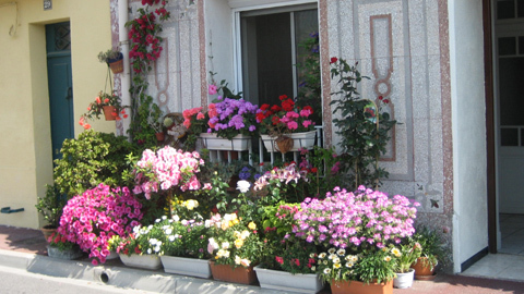 Bố con hàng xóm vô tư vào phòng ngủ của vợ chồng tôi chơi đùa