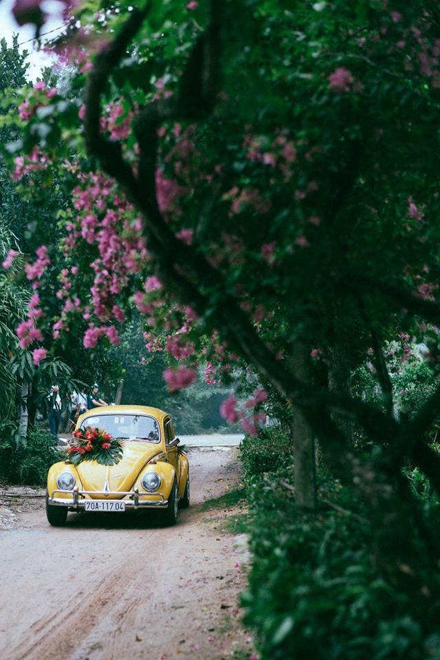 {title} Đám cưới,Chi Pu,Tình yêu