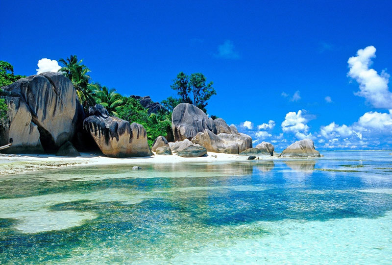 Tử vi 12 cung hoàng đạo ngày 7/6