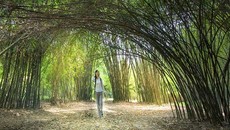 8 địa danh chứng minh Bình Dương là điểm đến lý tưởng vào dịp hè 8 địa danh chứng minh Bình Dương là điểm đến lý tưởng vào dịp hè