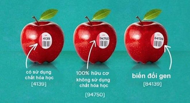 trái cây nhập khẩu,hoa quả ngoại,kinh doanh trái cây