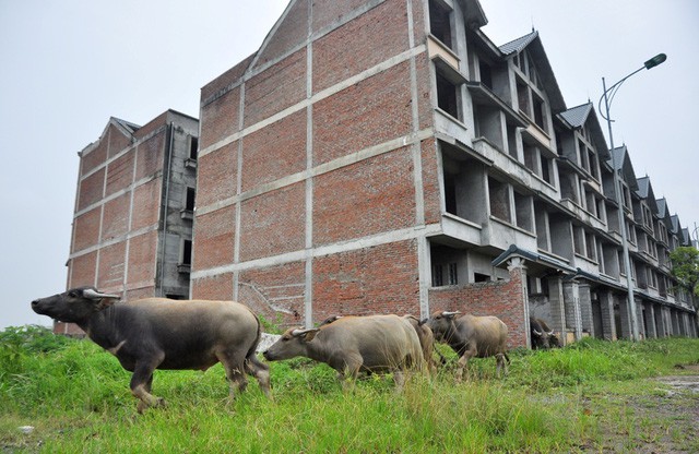 Cán bộ, công nhân PVTex không được nhận nhà vì lãnh đạo bị bắt