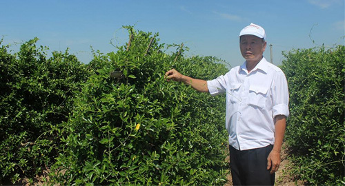 Sai lầm nguy hại khi dùng thuốc người tiểu đường nên tránh