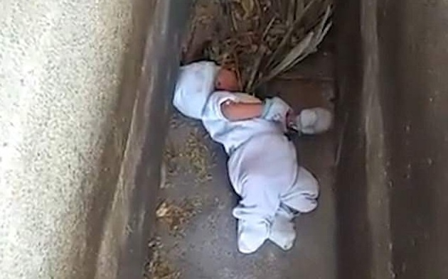 Giải cứu bé sơ sinh bị bỏ rơi trong nghĩa địa