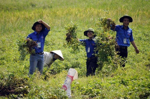 Mùa Hè Xanh: Từ triệu giọt mồ hôi đến ngàn điều ý nghĩa