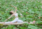 Bộ ảnh 'Yoga và sen' của người đẹp U40 hút dân mạng
