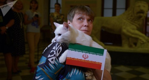 Mèo Achiles dự đoán Iran thắng Maroc 22h tối nay