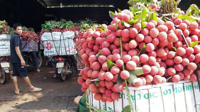 Bắc Giang chuyện lạ nửa thế kỷ: Chợ họp đến 10h đêm, thu hơn 5.500 tỷ