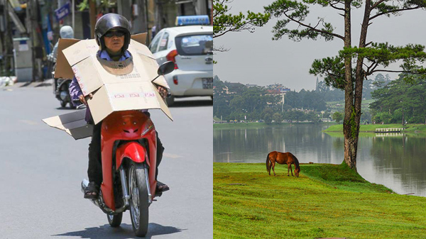 Dự báo thời tiết 21/6: Hà Nội nóng như rang, cao hơn Đà Lạt 13 độ