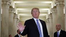 Mỹ truy lùng toàn cầu nữ thực tập sinh mắng ông Trump Mỹ truy lùng toàn cầu nữ thực tập sinh mắng ông Trump