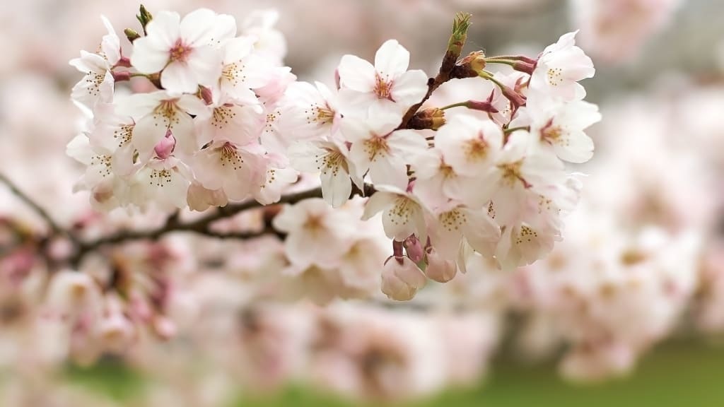 Tử vi 12 cung hoàng đạo ngày 22/6