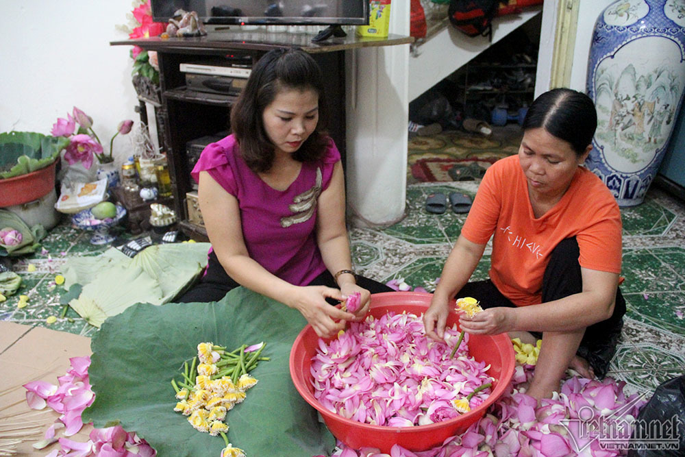 trà sen Tây Hồ,hồ Tây,Hà Nội