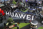 Nghị sĩ Mỹ đòi điều tra hoạt động Huawei trong các trường đại học