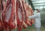 Vừa thoát ế ẩm, giải cứu: Thịt lợn Việt Nam đạt được điều chưa từng có
