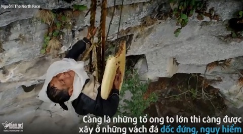 Bộ tộc 'thách thức tử thần' lấy mật ong trên đỉnh thế giới