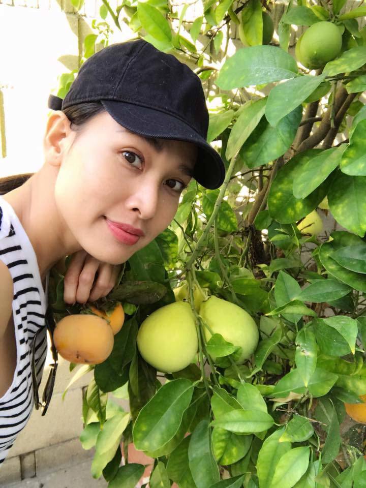 Vườn hoa cây trái ở Mỹ của người đẹp Việt khiến nhiều người thích thú