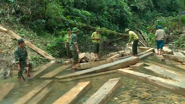 Phá rừng phòng hộ Quảng Bình: Nguyên đội trưởng kiểm lâm bị kỷ luật