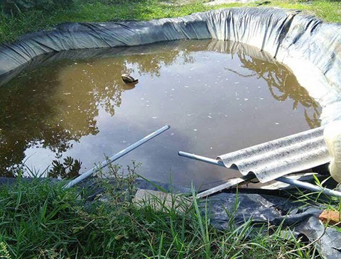 4 trẻ tử vong vì cái 'bẫy' chết người trong vườn nhà