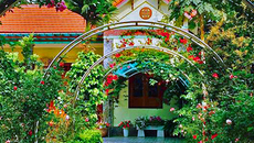 Vườn hoa 100 triệu đẹp như tranh của cô giáo dạy Toán Vườn hoa 100 triệu đẹp như tranh của cô giáo dạy Toán