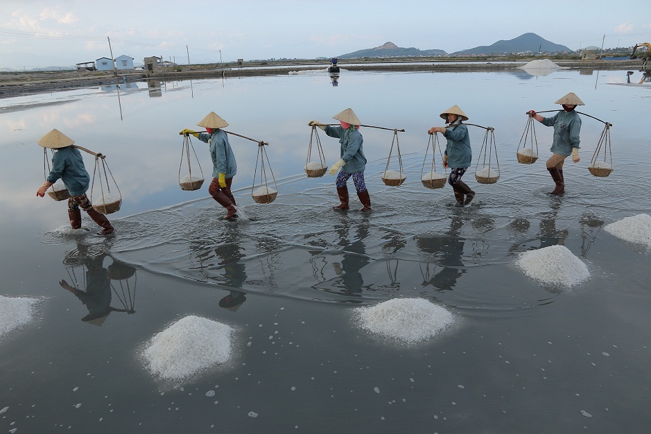 Nỗi buồn trên cánh đồng muối Hòn Khói sau 30 năm