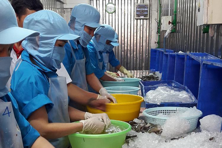 Những đòi hỏi từ EVFTA