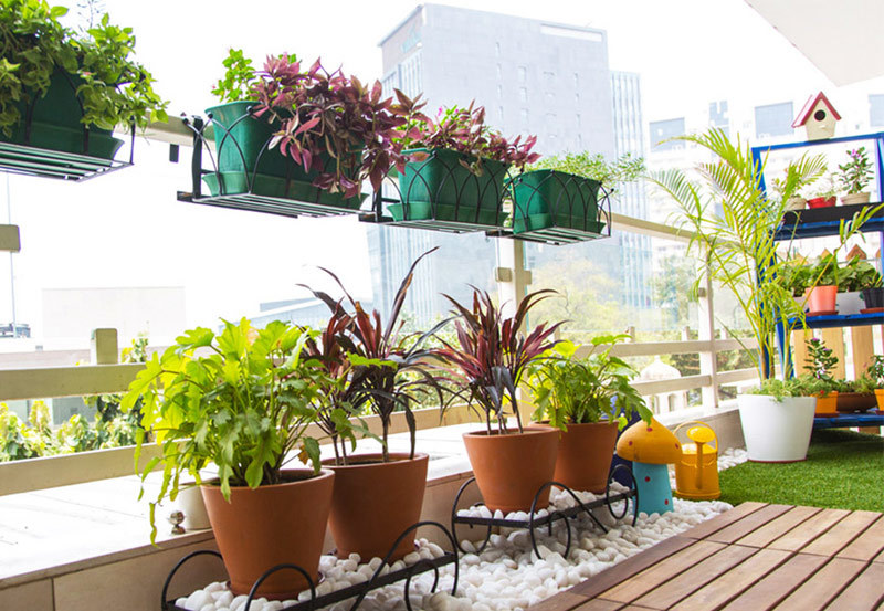Bí mật của người đàn ông trong căn nhà 5 tầng luôn đóng cửa