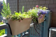 Vợ chồng hàng xóm vô tư sang nhà tôi nằm nhờ điều hòa