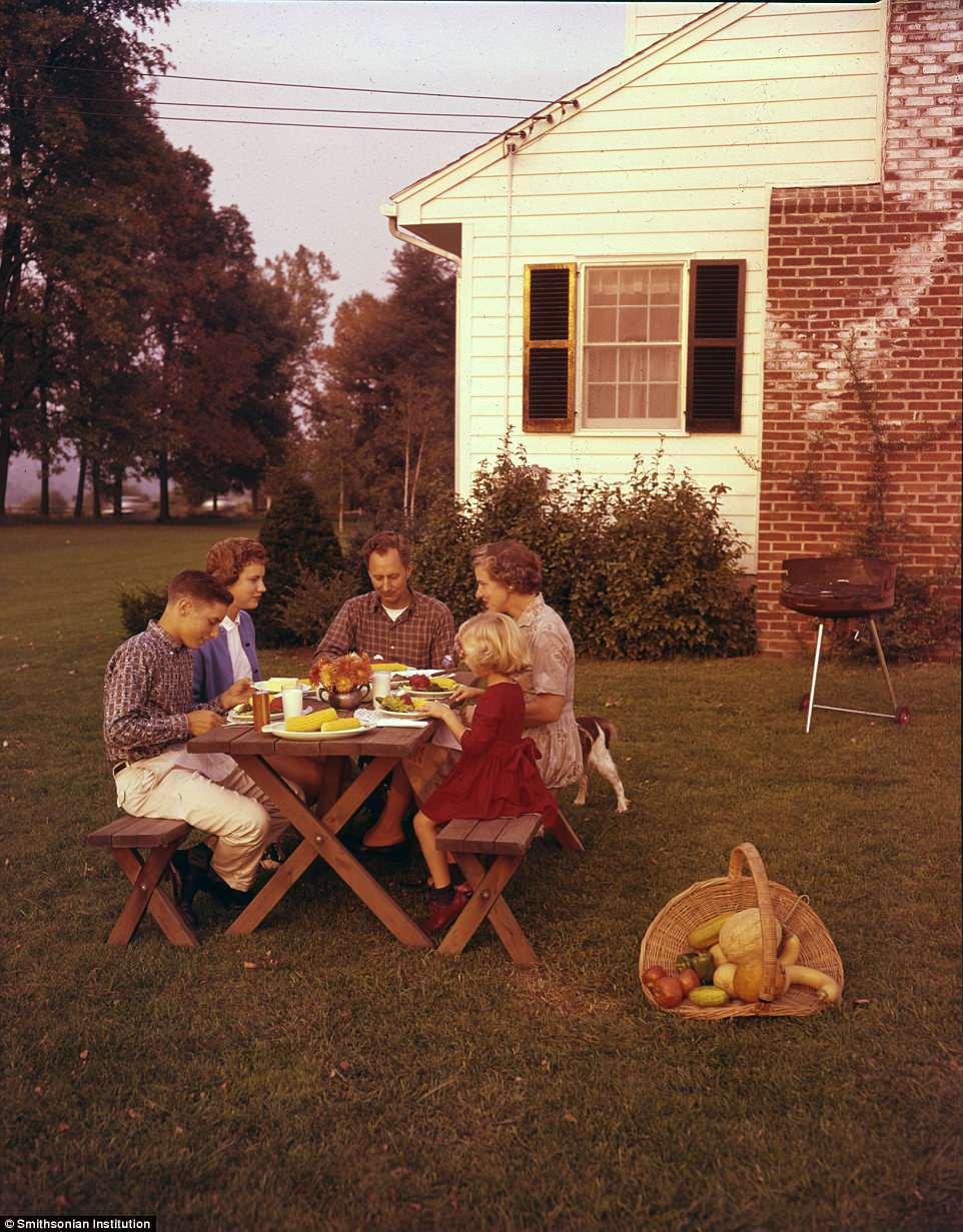 Cuộc sống ngoại ô yên bình của người dân Mỹ những năm 1950