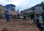 Đáng sợ: Thịt lợn Trung Quốc ồ ạt tuồn về Việt Nam