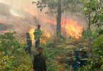 Thanh Hóa: Rừng cháy rực, hơn 300 người thần tốc dập lửa