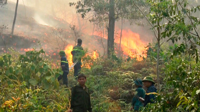 Rừng cháy rực, hơn 300 người thần tốc dập lửa chỉ 4 tiếng