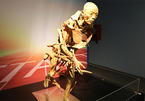 Tạm ngừng triển lãm cơ thể người đầu tiên ở Việt Nam vì sai phạm