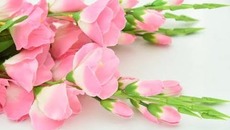Tử vi 12 cung hoàng đạo ngày 7/7