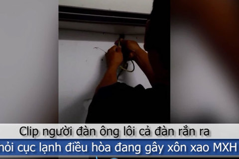 Người đàn ông tay không lôi cả đàn rắn ra khỏi cục lạnh điều hòa