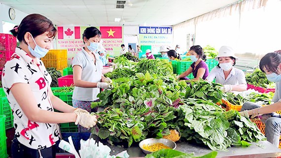 30 triệu người Việt làm việc trong khu vực kinh tế hợp tác, hợp tác xã