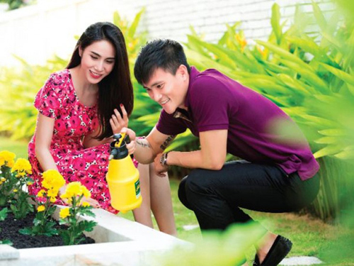 Vườn xanh mát, trĩu quả ở biệt thự triệu đô của sao Việt