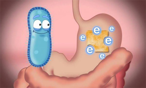 Bảo bối đối phó hội chứng ruột kích thích của người Nhật