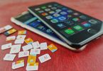 iPhone mới dự định dùng eSIM thay thế SIM điện thoại thông thường
