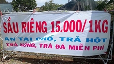 Sự thật đằng sau chục tấn sầu riêng ‘siêu rẻ’, ăn trả hột tại chỗ Sự thật đằng sau chục tấn sầu riêng ‘siêu rẻ’, ăn trả hột tại chỗ