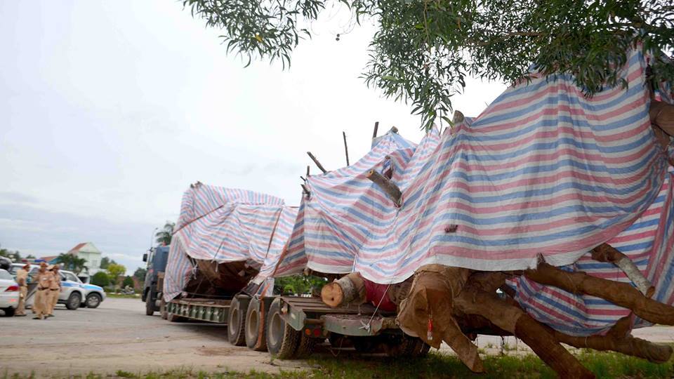 Cây 'quái thú' né CSGT ở Quảng Ngãi, tài xế 'chống cự' 6 tiếng