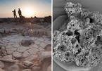 Tìm thấy chiếc bánh mì được nướng cách đây 14.500 năm