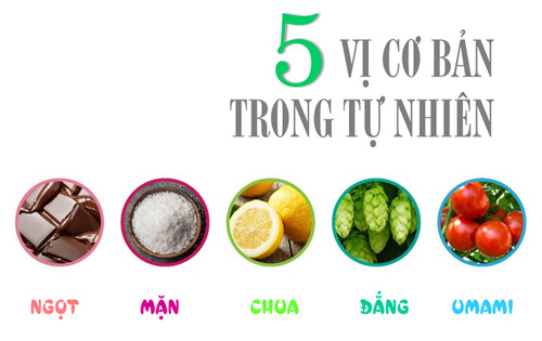 Umami - vị thứ năm trong ẩm thực hiện đại