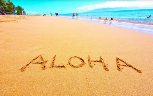 Aloha Beach Village - trải nghiệm ‘nghỉ dưỡng Hawaii’