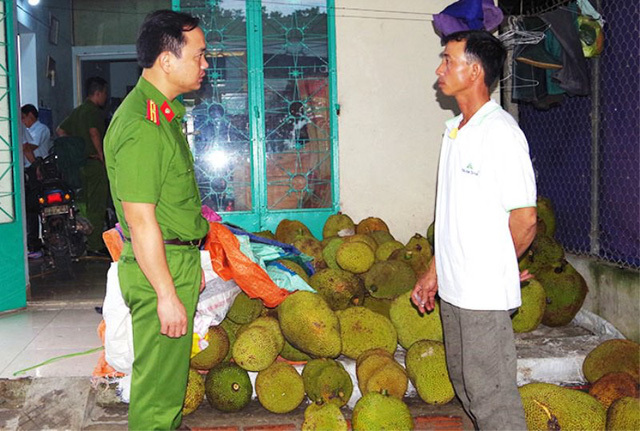 Mũi tiêm đáng sợ 'ép' mít chín nhanh, tạo mùi thơm, vị ngọt