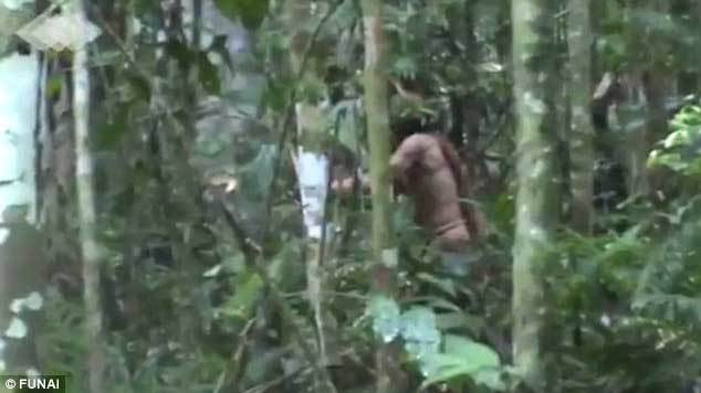 Video hiếm về người thổ dân đơn độc giữa rừng Amazon