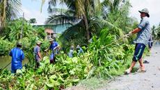 Chi 8 tỷ đồng để vớt bèo lục bình bằng tay Chi 8 tỷ đồng để vớt bèo lục bình bằng tay