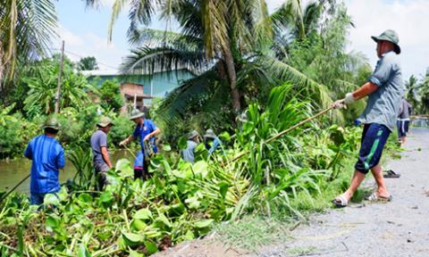 Chi 8 tỷ đồng để vớt bèo lục bình bằng tay