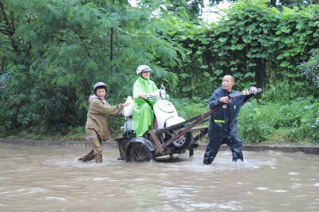 Dịch vụ mò biển số, chở người bằng xe bò 'hốt' bạc triệu ngày mưa lũ
